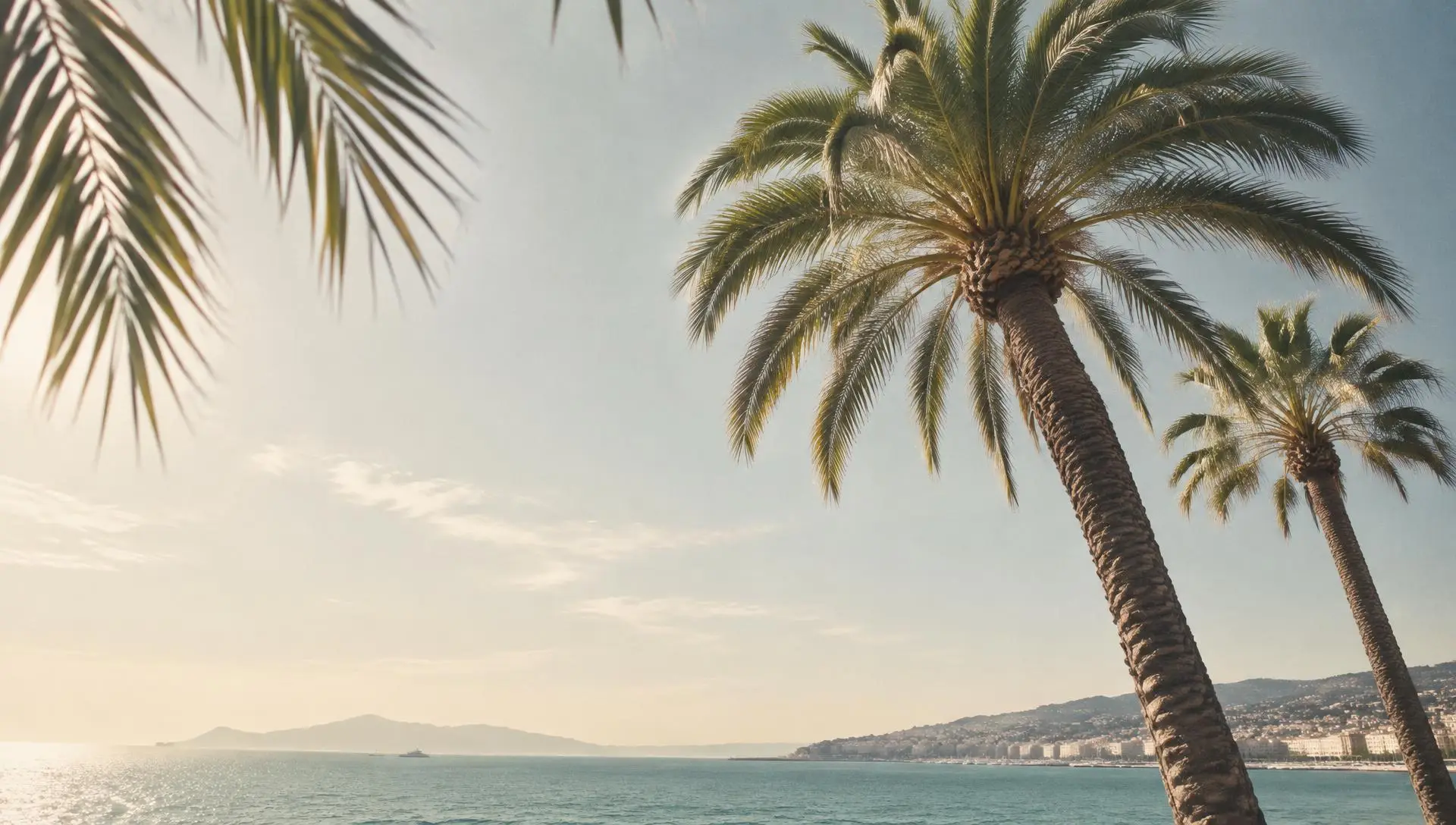 Palmiers et lumière méditerranéenne sur la Côte d’Azur